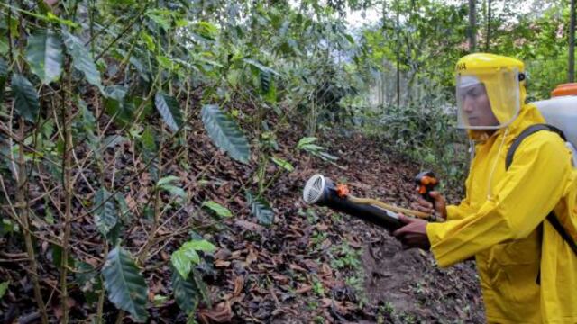 Ministerio de Agricultura invertirá S/. 28.5 millones en plan de acción contra la roya