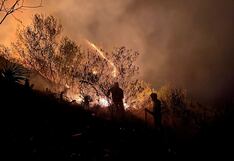 Porque mudos están: Menos del 1% se destina para prevención de incendios forestales