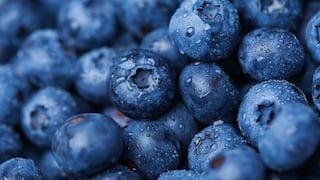 FEN replantea proyecciones de arándano peruano: esta sería la situación del berrie en Europa