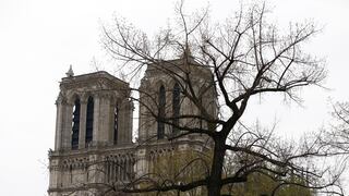 Los arquitectos no tienen la misma prisa que Macron en reconstruir Notre Dame