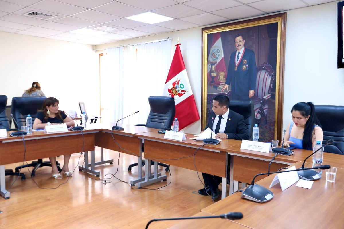 Funcionaria Mariella Falla negó haber recibido llamadas del presidente Jerí. Foto: Congreso.