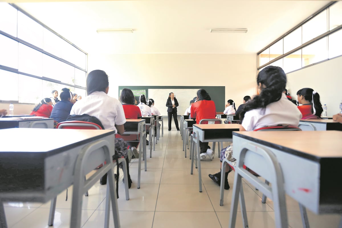 De aprobarse la iniciativa, el Poder Ejecutivo, a través del Minedu y las entidades competentes, tendría un plazo de 90 días calendario desde su entrada en vigor para adecuar los reglamentos. Foto: difusión