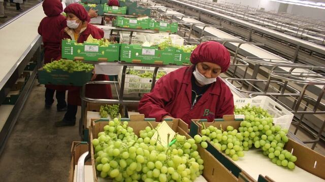 Agroexportaciones peruanas continuaron al alza durante el primer trimestre