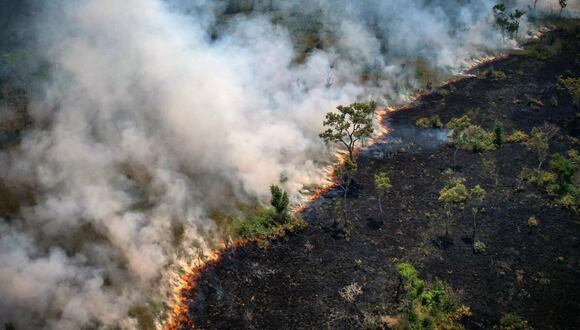 La Amazonía enfrenta una crisis que requiere acciones inmediatas y coordinadas. Foto: AFP