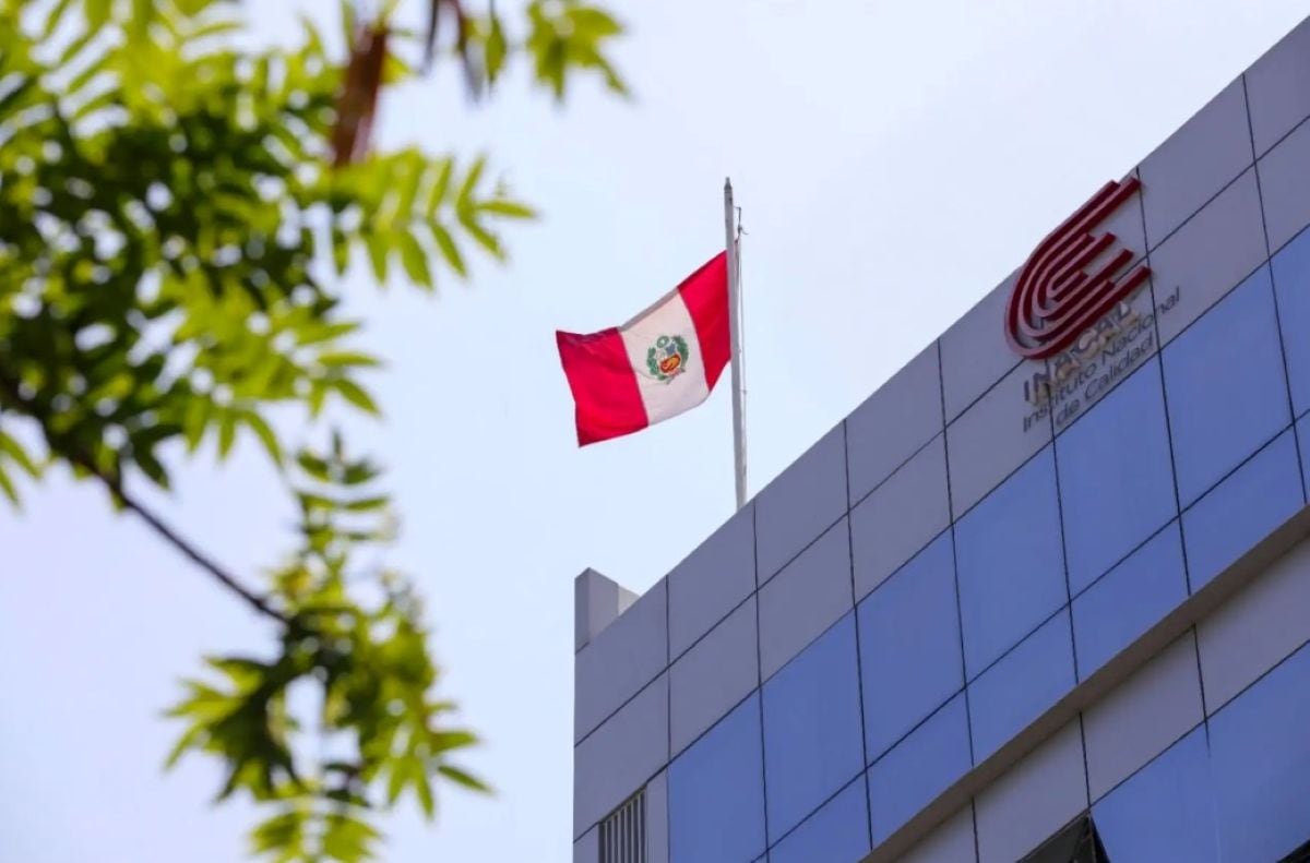 Inacal establece nuevos criterios de calidad para la comercialización de zanahoria en Perú. Foto: Andina.