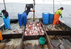 Gobierno reactivo la pesca de pota con cuota adicional de más de 82,000 toneladas
