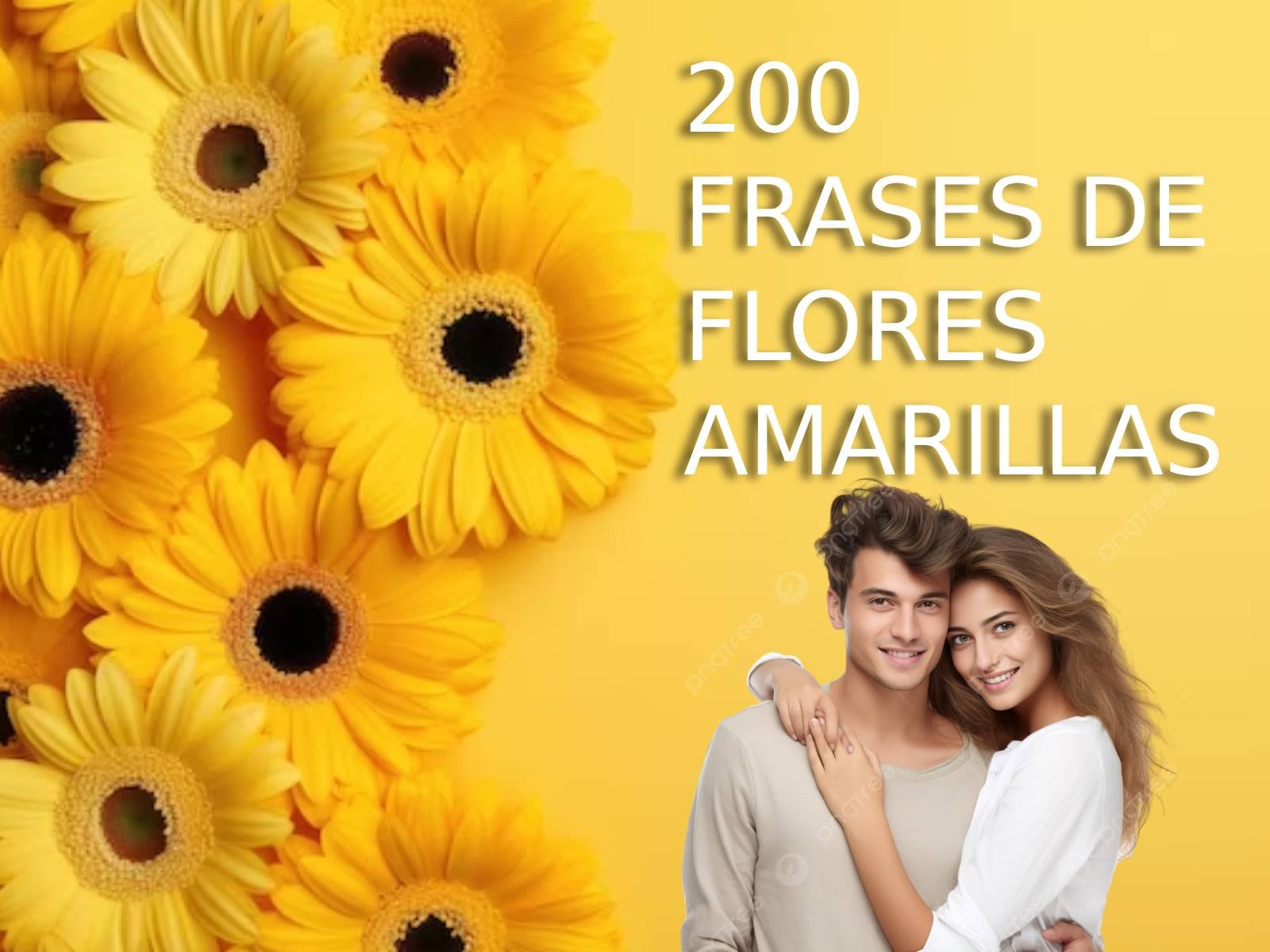 Lista de 200 frases de amor sobre flores amarillas para compartir con tu novia o pareja este jueves 21 de marzo. CDMX, México (Foto: Noé Yactayo)