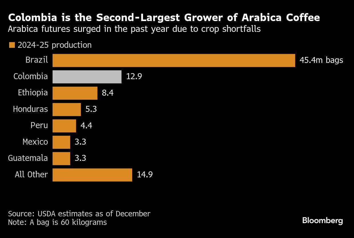 Colombia es el segundo mayor productor de café arábico | Los futuros del café arábico subieron el año pasado debido a la escasez de cosechas