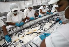 Envíos peruanos a China: con US$ 26,000 mlls. alcanzados, así le fue al empleo