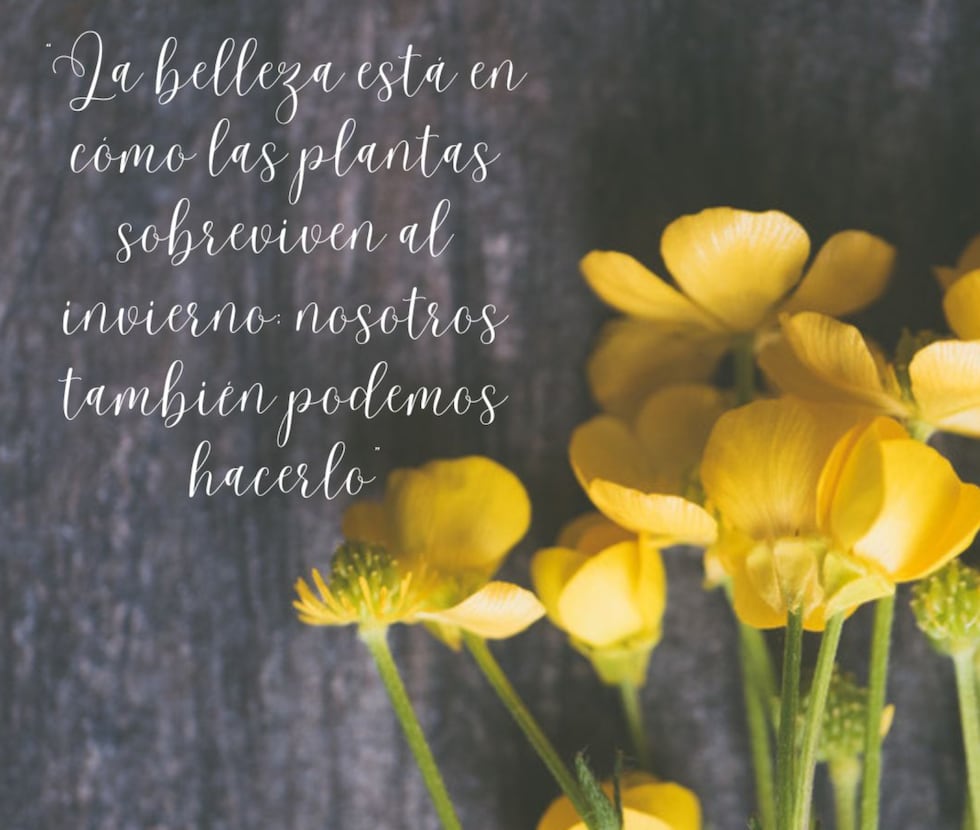 "La belleza está en cómo las plantas sobreviven al invierno, nosotros también podemos hacerlo". (Foto: Composición Mix/Canva)