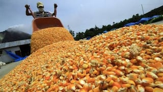EE.UU: Un clima más caluroso amenaza con reducir rendimientos del maíz