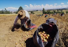 Informalidad laboral: ¿Cómo debería abordarla el próximo Gobierno?