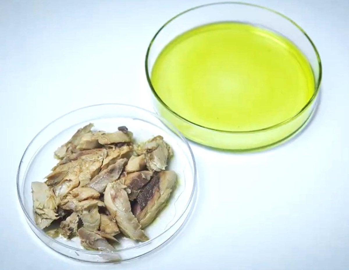 Aunque en noviembre la exportación de aceite de pescado se desplomó, la SNP sostiene que parte de esa caída responde a rezagos productivos. (Imagen: Andina)