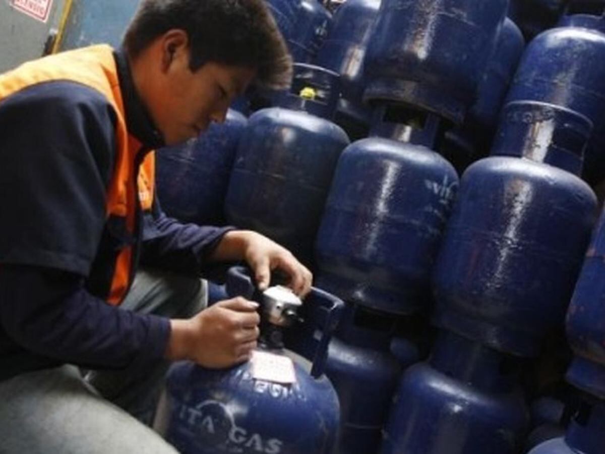 Ministro de Energía y Minas asegura que GLP para hogares no subirá de precio. (Foto: Andina)