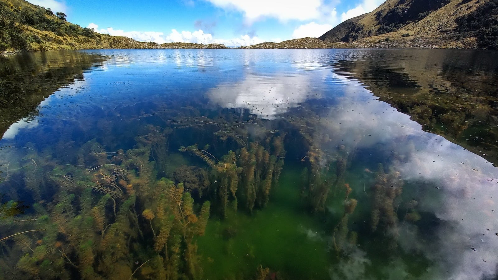 Estudio de MapBiomas Agua señaló que en cuatro décadas, la superficie de lagunas glaciares aumentó 52%, alcanzando las 3.7 mil hectáreas. Foto: MapaBiomas Agua Perú