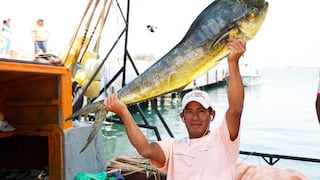 Exportaciones peruanas a Estados Unidos: Produce adecua normativa para recurso clave