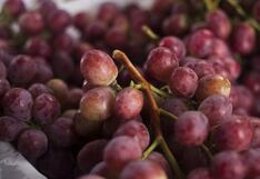 Producción de uva de mesa sería afectada por El Niño, esto son los escenarios