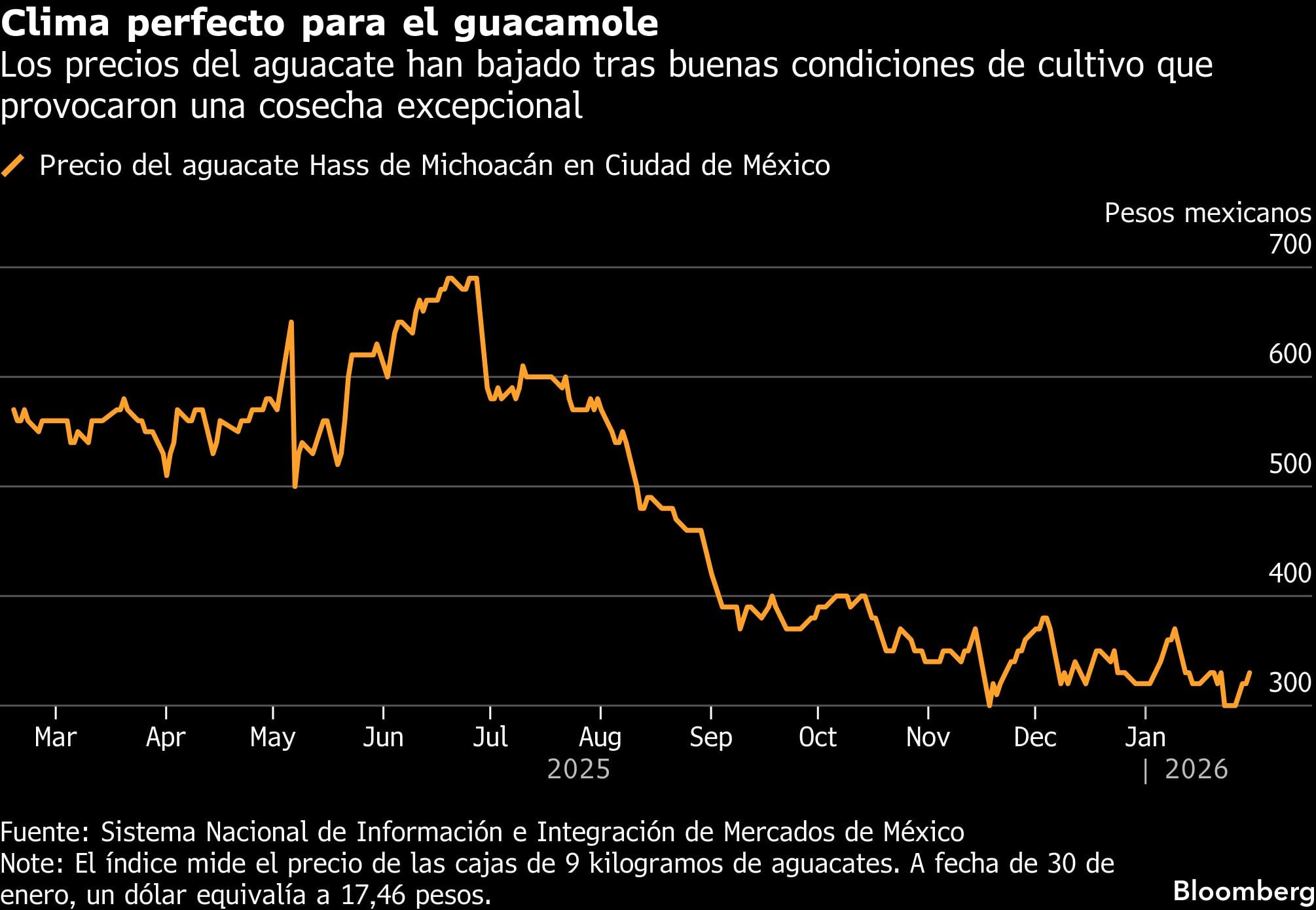 Clima perfecto para el guacamole | Los precios del aguacate han bajado tras buenas condiciones de cultivo que provocaron una cosecha excepcional