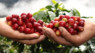 Congreso aprueba ley de relanzamiento de Agrobanco