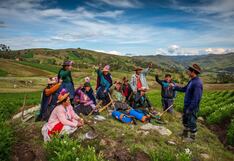 Industria agroalimentaria: tres acciones claves en materia ambiental