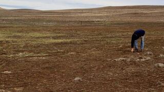 Fenómeno El Niño: Gobierno evalúa emitir declaratoria por peligro inminente ante posibles sequías