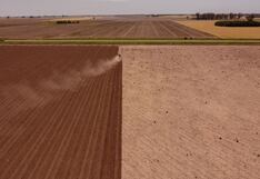 Escasez de soja argentina agudiza problemas del próximo presidente