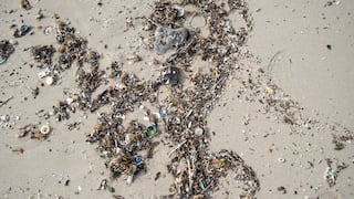 Microplásticos contaminan todas las especies marinas en desembocaduras de los ríos