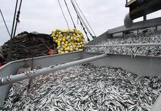 Primera temporada de pesca 2025 iniciará la próxima semana con la mayor cuota en siete años