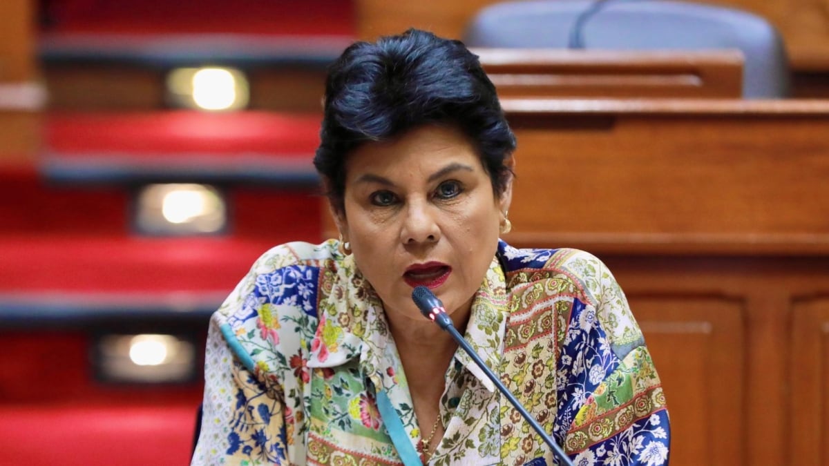 Diputada Norma Yarrow propone eliminar financiamiento público a partidos políticos