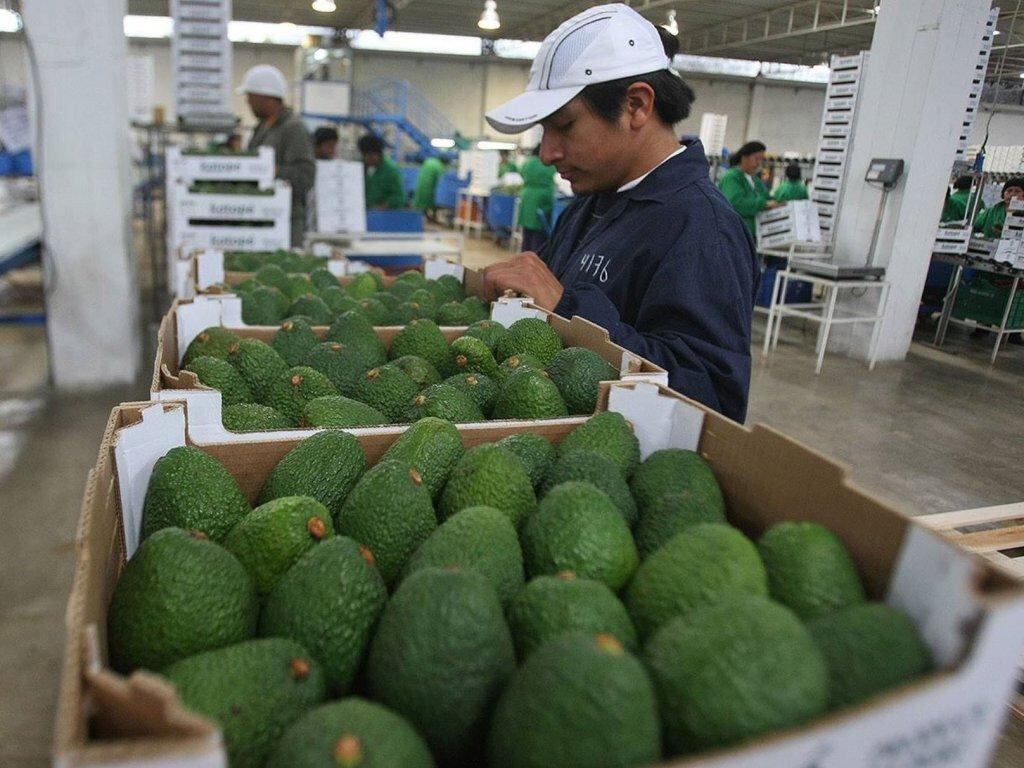Mercado laboral en el Perú sigue golpeado por las pérdidas de empleos. (Foto: GEC)