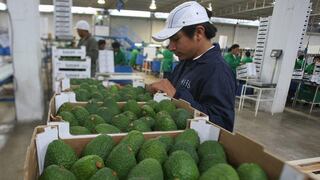 Mercado laboral con tres trimestres en “rojo”, ¿cuáles son los sectores más golpeados?