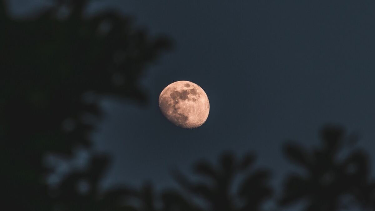 El cielo se volverá a oscurecer: así será el impresionante eclipse lunar que cubrirá el 93% de la Luna