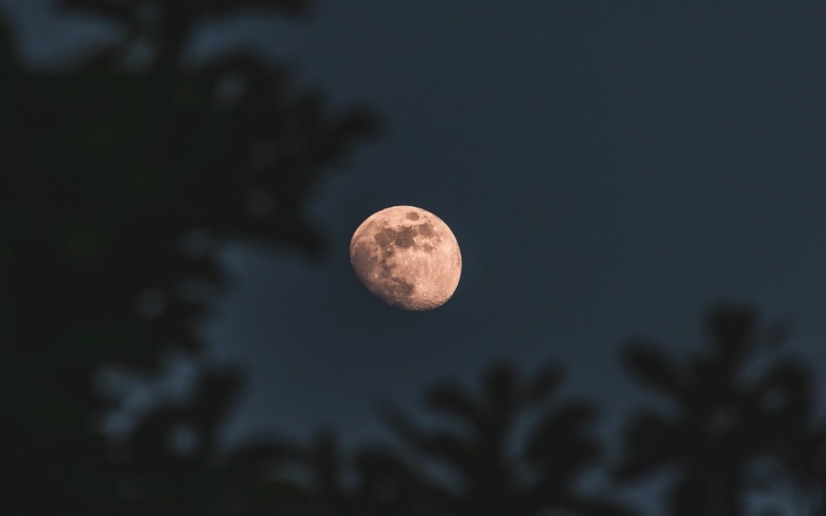 Apenas dos semanas después del eclipse solar del 12 de agosto, el cielo volverá a ofrecer un espectáculo astronómico. (Foto referencial: Magnific)