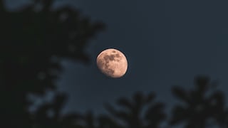 El cielo se volverá a oscurecer: así será el impresionante eclipse lunar que cubrirá el 93% de la Luna