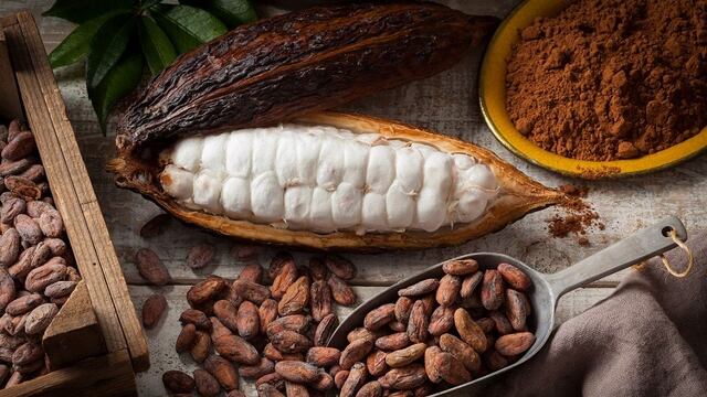 Unión Europea pone en jaque al cacao peruano por la presencia del cadmio