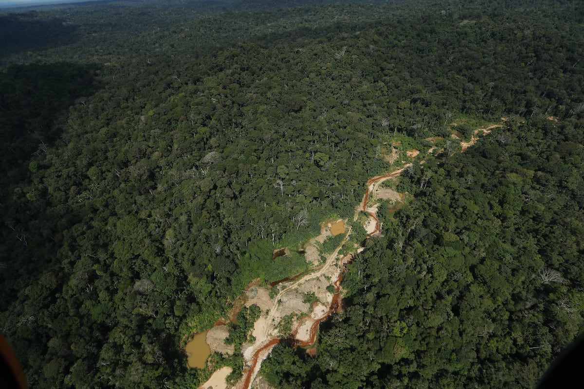 En los últimos diez años el BID invirtió 50.000 millones de dólares en el clima | FOTO: ALESSANDRO CURRARINO/EL COMERCIO
