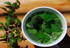 INS elaborará guía de uso de plantas medicinales, ¿Cuáles serán consideradas?