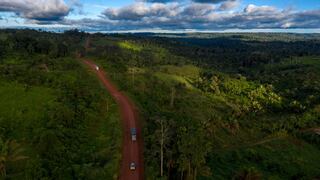 Colombia perdió en 2018 tanto bosque como dos veces la superficie de Berlín