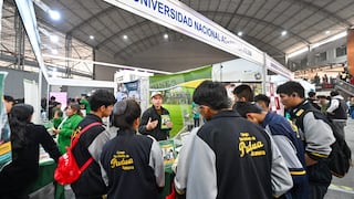 Educación al Futuro: En 10% crecería demanda de profesionales por puerto de Chancay