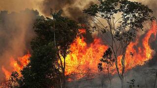 Bolivia contratará un avión Supertanker para combatir incendios forestales