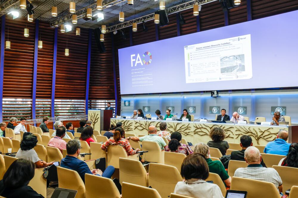 “Diálogo Fish-Vet II: One Health and Biosecurity" de la FAO se realizó en Italia. (Foto: Produce)