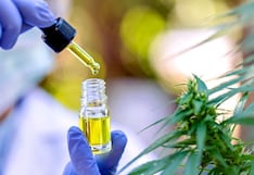 Trump aprueba reclasificación del cannabis: deja de ser una de las drogas más peligrosas