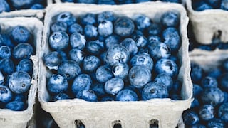 Baja producción de arándanos en Perú dispara envíos aéreos de Chile