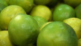 Productores advierten sobre riesgo de ‘dragón amarillo’ en limones importados