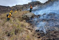 Incendio forestal que afectaba Camino Inca a Machu Picchu fue controlado