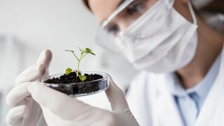 Chilena Pewman Innovation alista su ingreso al Perú y abrirá sus laboratorios este año