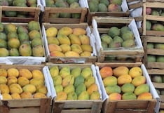 Joya Fruits apuesta por nuevos mercados, frutas y packing para crecer en 2026