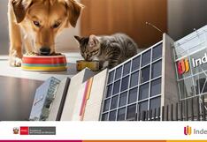 Multa a Nestlé por inducir al error en alimentos para mascotas: ¿de cuánto es la sanción?