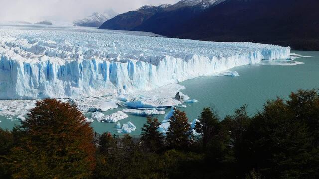 Advierten “retroceso” en protección de bosques y glaciares en reformas de Milei 