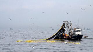 Produce: Sector pesquero crecería 38% este año por mayor desembarque de anchoveta